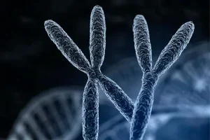 深圳私立医院可以做三代试管婴儿吗？