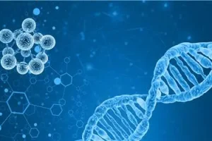 生男孩备孕应该采用什么方法？是否可靠？