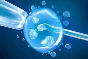 提高试管着床有什么方法可以“马到成功”？