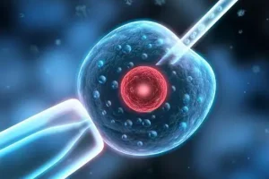 成都西囡医院试管怎么样？能不能做三代试管？