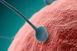 南昌哪里可以做三代试管？三代试管可以避免哪些遗传病？