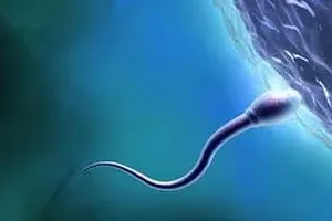 湖北武汉试管婴儿哪里好，医院排名一目了然