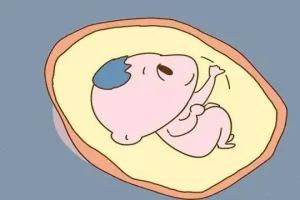 湖北省试管婴儿最好的医院会是武汉同济医院吗？