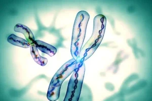 湖南长沙做试管婴儿哪个医院最好？