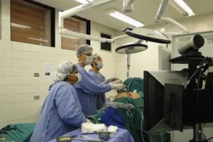 妈妈还是爸爸的基因决定孩子的智商？