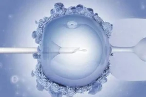 2025深圳试管婴儿医院排名最好是哪家？