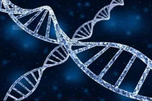 私立试管医院靠谱吗？厦门安宝医院试管成功率？