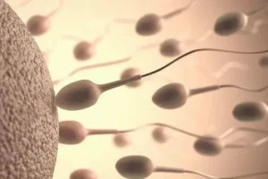 试管婴儿期间，吃东西要有点“小心机”哦~