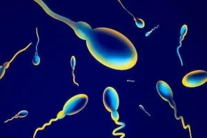 泉州儿童医院做试管婴儿多少钱，3万元足够了吗？