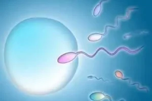 厦门三代试管最好的医院需要多少钱？