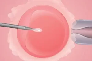 在试管婴儿治疗中，黄体酮的作用都有哪些?