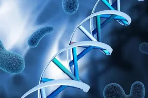 深圳试管婴儿私人医院靠谱吗？