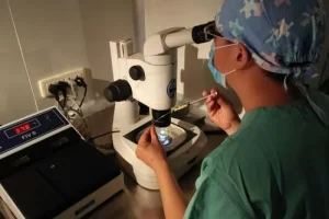 胚胎移植前、中、后注意事项全解读，教你提高成功率!