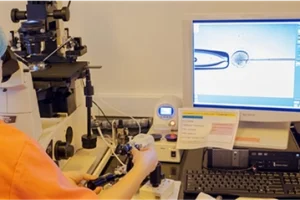 在沧州做试管婴儿可以选择性别吗？