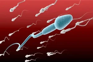 男性不孕：精子活力低怎么调理？