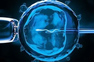 2025年石家庄试管婴儿医院排行榜