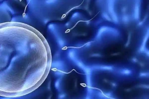 天津市做试管婴儿最好的医院是中心妇产医院吗？