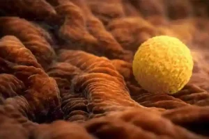 试管医院导航：北京试管婴儿最好的私立医院？