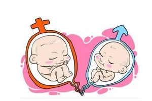 子宫好不好可以从脸上看出来吗？