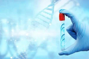 试管医院导航：东莞哪里做试管成功率最高？