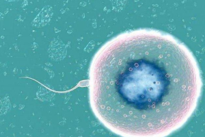 2025年温州试管婴儿医院排名最好？
