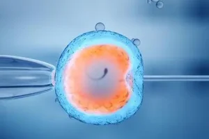 湘雅医院试管婴儿流程是怎么安排的？