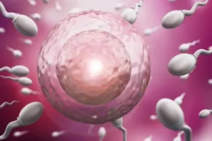 2025年广州做第三代试管婴儿的费用一览