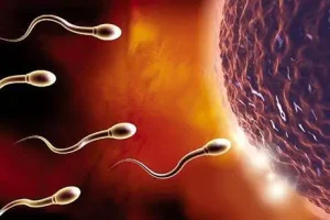 试管医院导航：广州试管助孕医院可信吗？