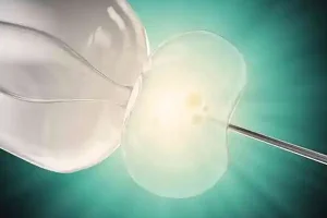 2025北京助孕指南：北京协和试管婴儿全过程