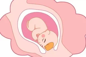 2025年北京协和试管婴儿多少钱一次？