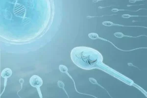 2025年北医三院试管婴儿三代费用多少？