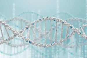 月子饮食怎么安排比较科学营养？