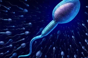 导致精子质量低五大“元凶”，你中招了吗？