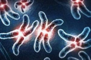 三代试管婴儿准备15万够吗