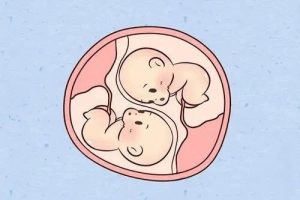 做试管婴儿双胞胎需多少钱