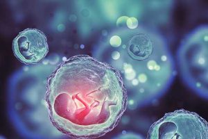 第三代试管婴儿要多少费用