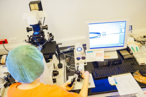 泰国试管婴儿过程费用都用在哪里？