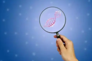 第三代试管婴儿费用大约多少