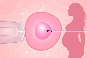 泰国试管婴儿费用贵吗？