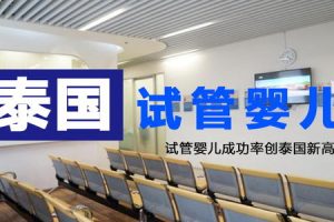 泰国试管婴儿费用多少钱