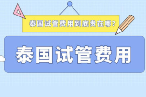 做泰国试管婴儿一般要多少钱？