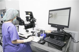 泰国试管婴儿费用高吗