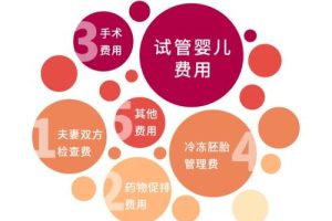 试管婴儿怎么做的全过程费用