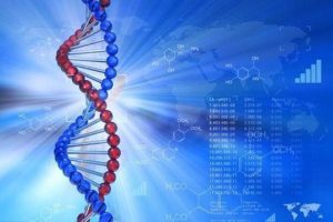 泰国正规试管婴儿报价费用要多少？
