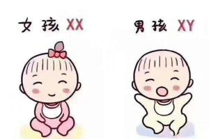 美国试管婴儿选要多少钱？