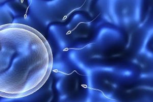 60岁高龄做试管条件一览，身体准备需要提前做好