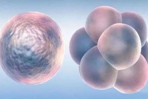 高龄做试管婴儿有什么风险？要做好哪些准备？