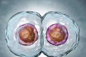 太极国际医院的马库斯医生 一次成功的试管婴儿很难吗？