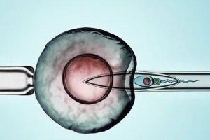 第三代试管婴儿的成功率有多高
