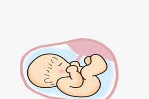 子宫腺肌症做试管婴儿成功率会不会受影响？
